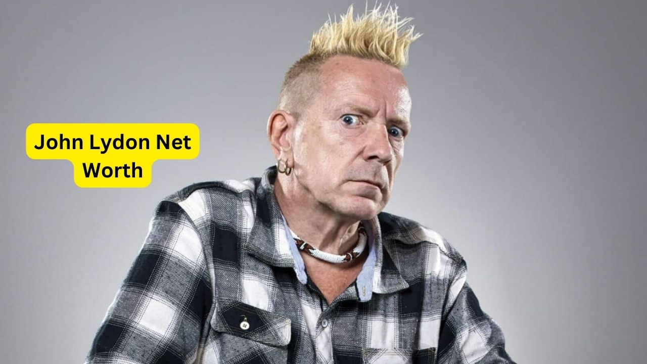 John Lydon Net Worth